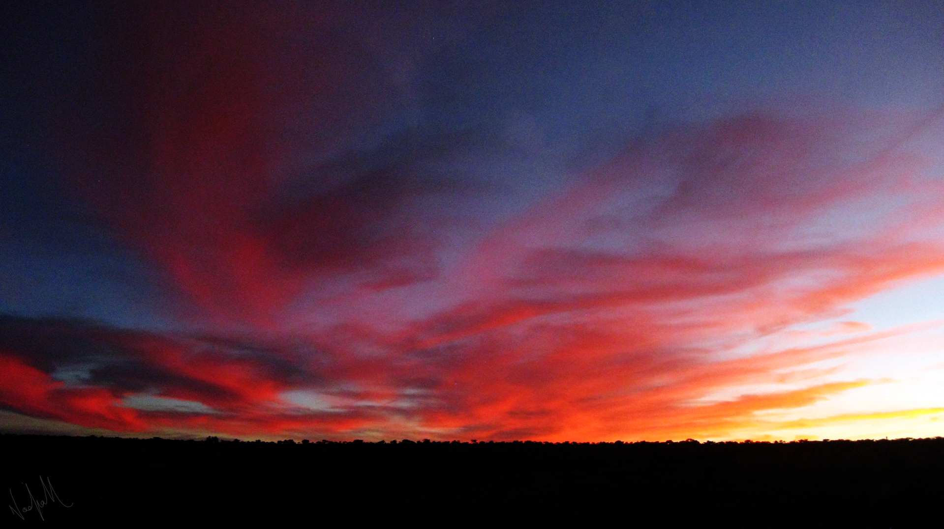 Fotografía